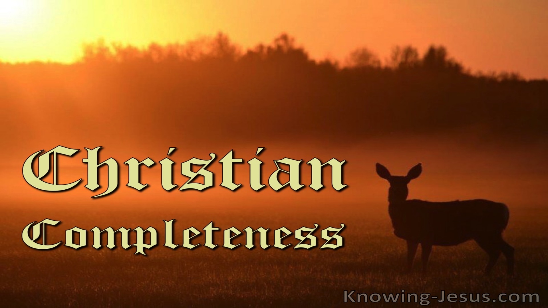 Christian Completeness (devotional)12-25   (orange)